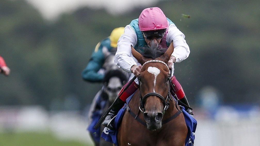 Enable is now odds-on with Coral for next Sunday's Qatar Prix de l'Arc de Triomphe