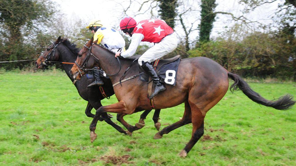 Duhallow Tornado (number eight) winning a point-to-point at Lisronagh in 2017