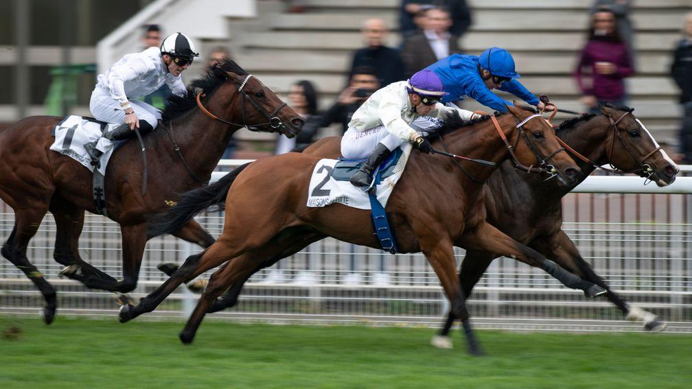 Munitions (blue) won last year's Prix Djebel - this year's race will be lost due to the suspension
