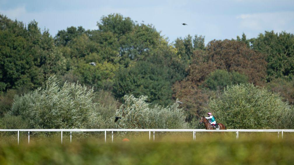 Enable (Frankie Dettori) looksrelaxed before cantering to post for the Unibet September StakesKempton 5.9.20 Pic: Edward Whitaker/Racing Post