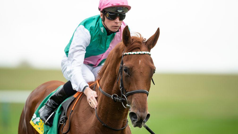 Quadrilateral: the long-time ante-post favourite for the QIPCO 1,000 Guineas