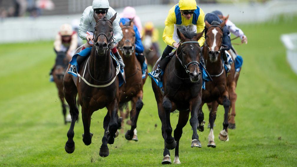 Young Rascal (yellow): Chester Vase winner to be aimed at the Great Voltigeur and St Leger