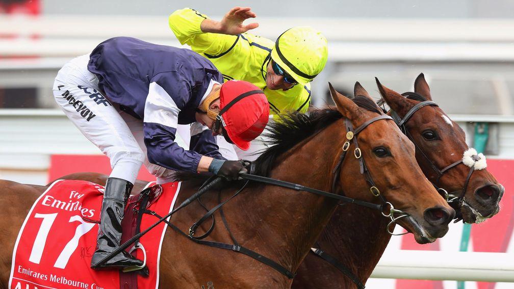 Almandin (near side): eased for a Melbourne Cup repeat after finishing fourth at Randwick