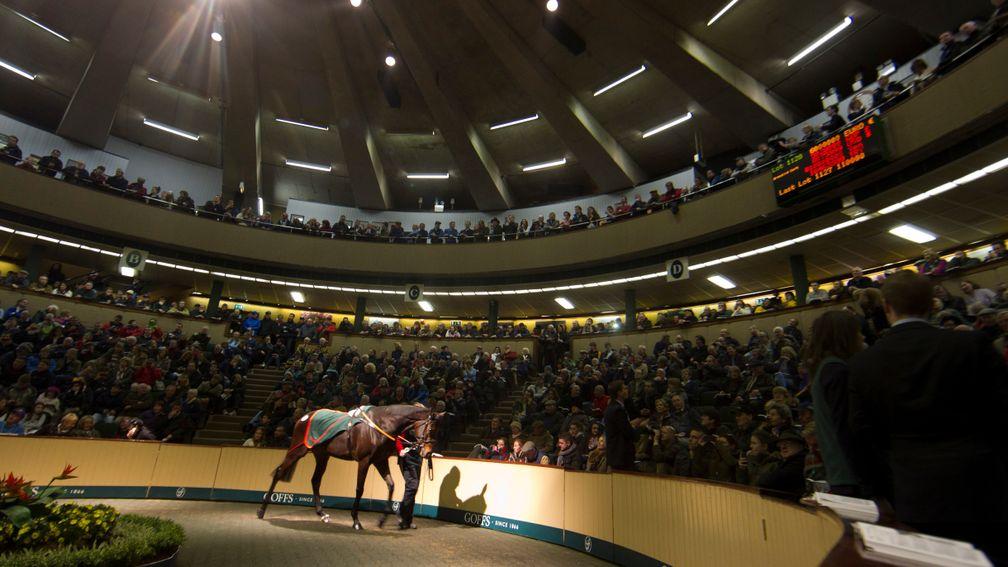 Goffs: takes centre stage this week