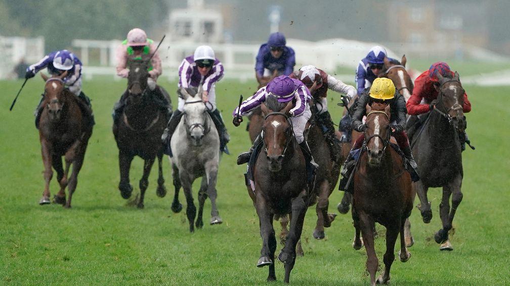 Kew Gardens (left): denies Stradivarius in a gripping Long Distance Cup tussle