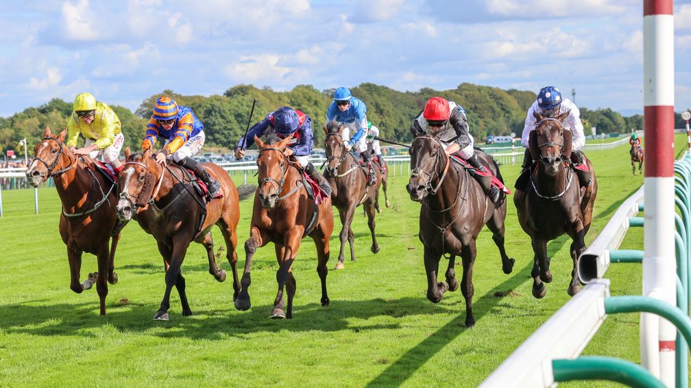 DOUBLE CHERRY ridden by Sean Levey wins HAYDOCK PARK 23/9/22Photograph by Grossick Racing Photography 0771 046 1723