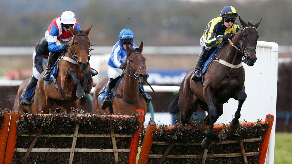 Willoughby Court: won at Warwick before going on to victory at Cheltenham