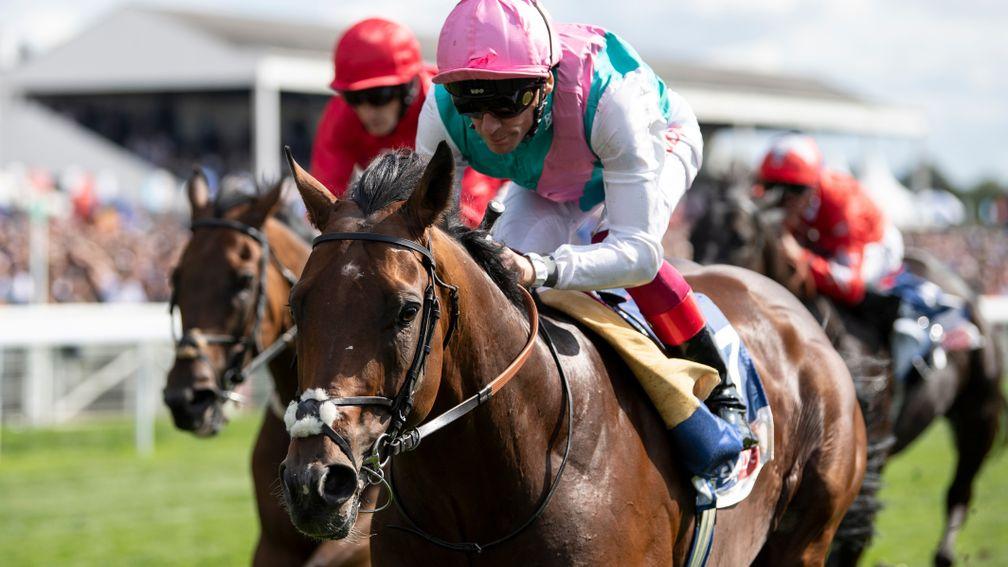 Frankie factor: Sir Michael Stoute and Frankie Dettori team up for victory in the Sky Bet City Of York Stakes with Expert Eye
