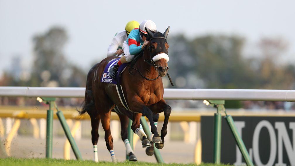 Almond Eye: the star filly on her way to victory in the Japan Cup