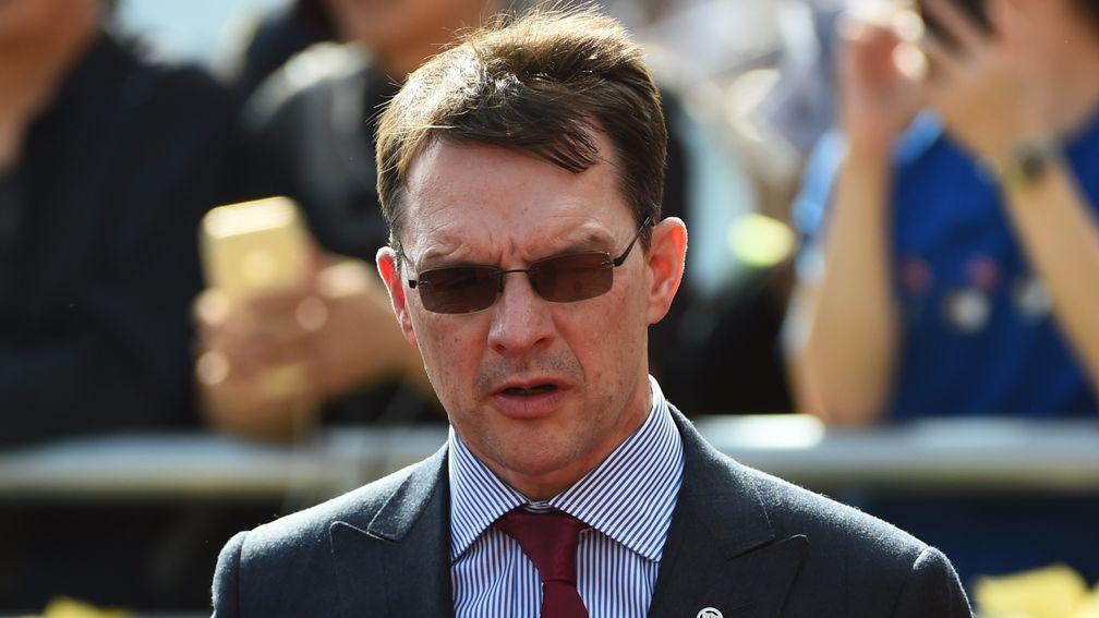 Aidan O'Brien: saddles four runners in the Listed Salsabil Stakes