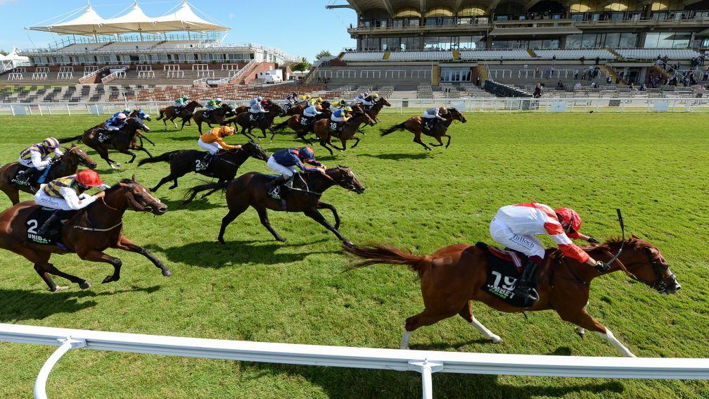 Summerghand (centre) surges late to head Kimifive (nearest) in the Stewards' Cup