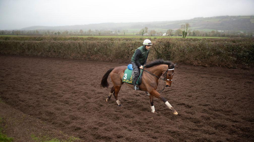 Footpad partnered by Qasim Raza at home at Closutton in February