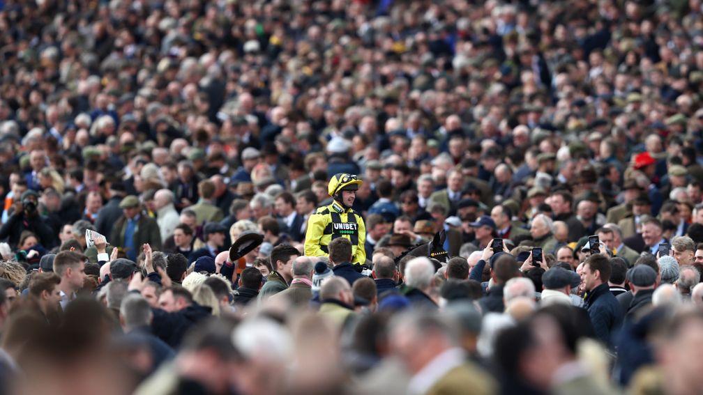 Cheltenham Festival: the four-day bonanza regularly attracts crowds of more than 250,000 each year