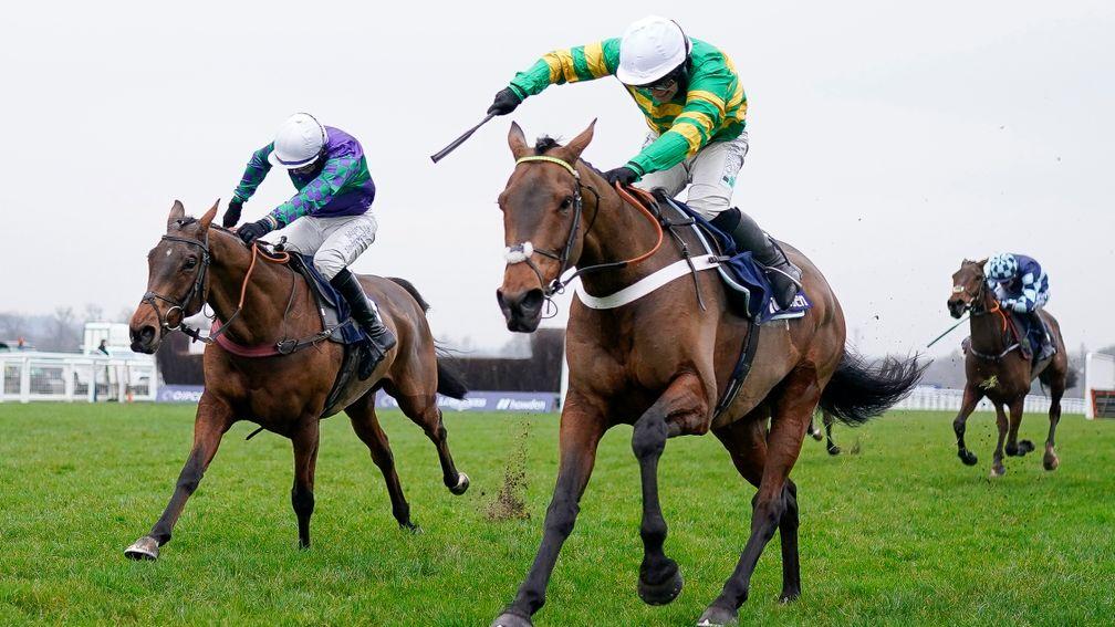 Champ: set to stay over hurdles and go for the Cleeve Hurdle at Cheltenham