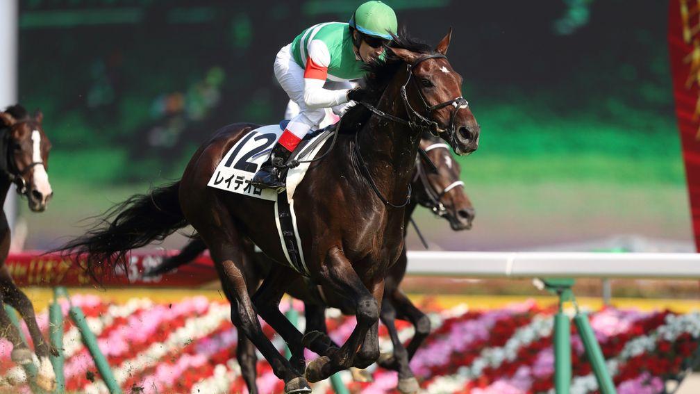 Rey De Oro: last year's Japanese Derby winner could run in Dubai