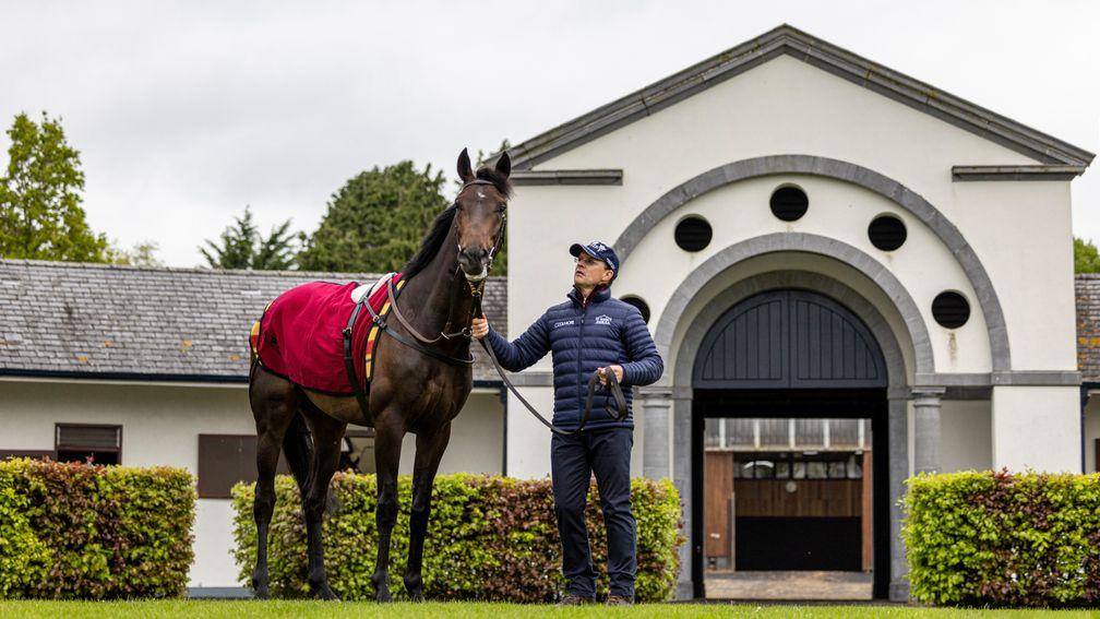 Aidan OâBrien with Derby trial winner Stone Age at Ballydoyle this morning.Photo: Patrick McCann/Racing Post09.05.2022