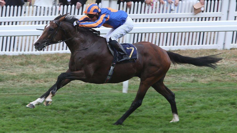 Idaho, pictured winning the Hardwicke Stakes, will bid for a first Group 1 in the King George