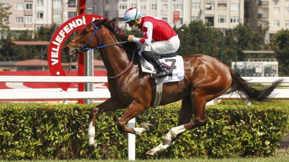 Light Of Darkness has won the Turkish Guineas among a host of prizes