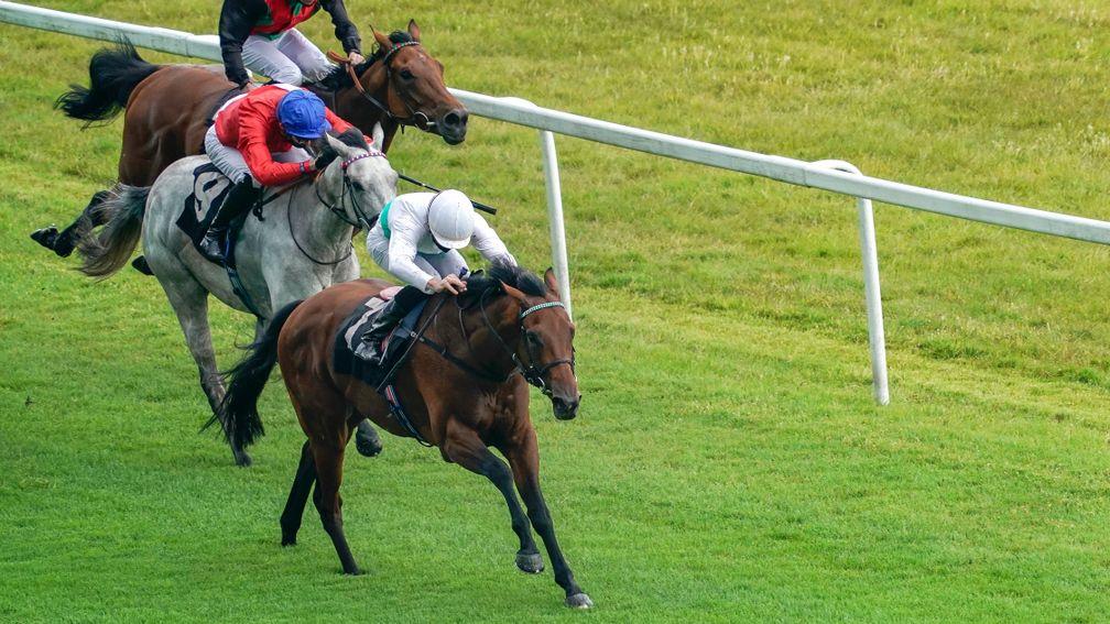 NEWBURY, ENGLAND - JUNE 11: Martin Harley riding Worthily (white cap) win The MansionBet Proud To Support British Racing Median Auction Maiden Stakes at Newbury Racecourse on June 11, 2020 in Newbury, England. (Photo by Alan Crowhurst/Getty Images)