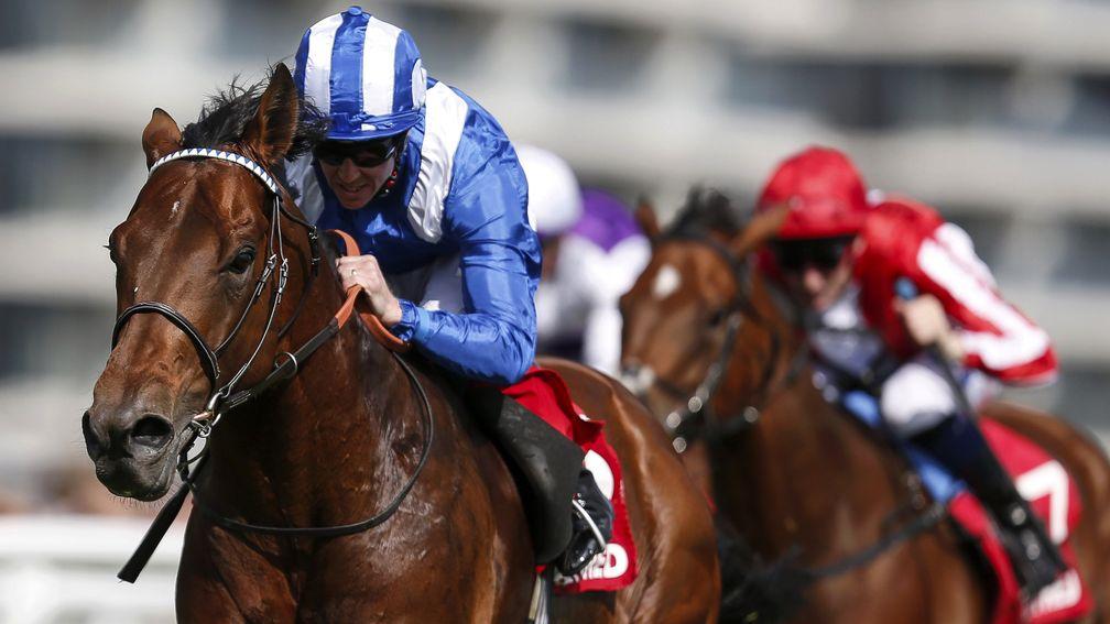 Massaat: the Hungerford Stakes winner is an intriguing sire prospect for Shadwell