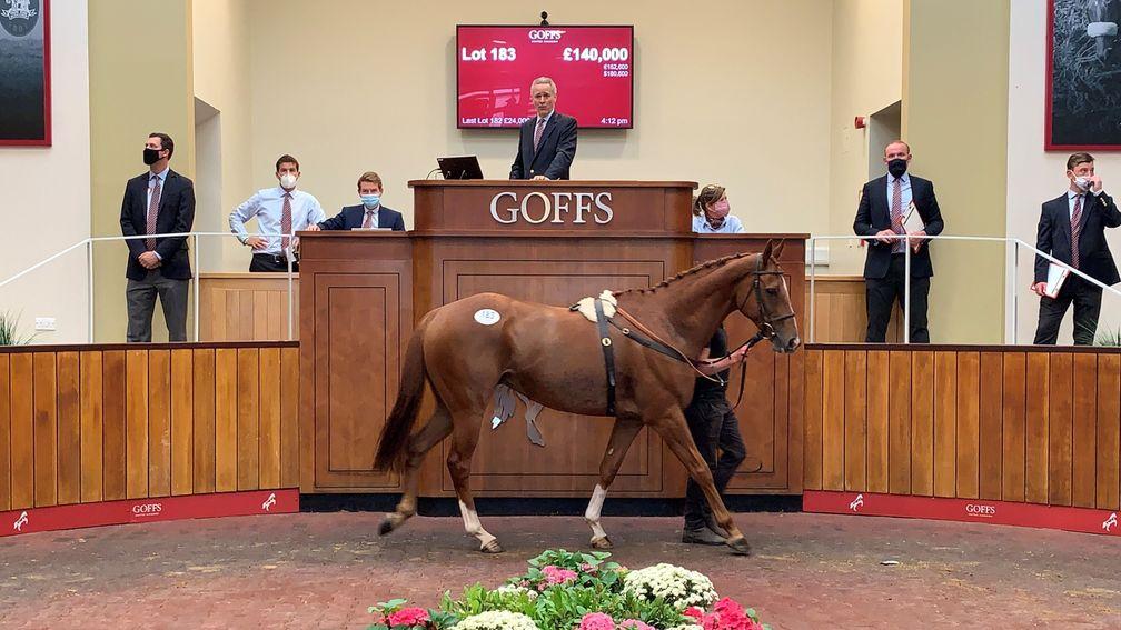 Top lot Stoney Mountain is knocked down to Tom Malone for £140,000
