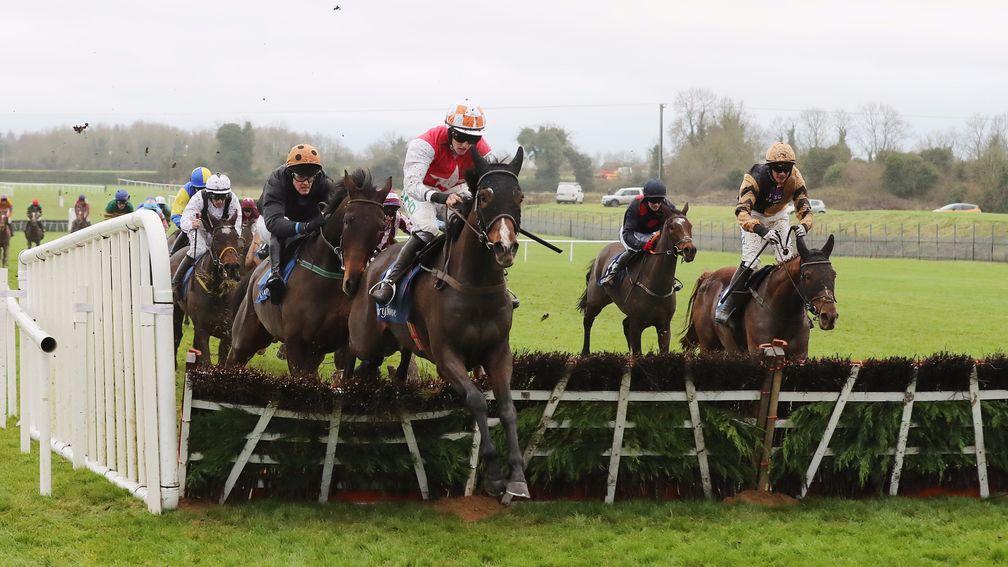 Davids Charm: jumps the last before winning the €100,000 handicap hurdle at Fairyhouse