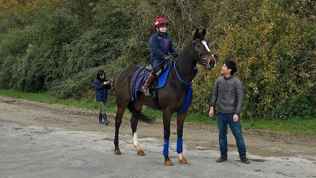 Hollie Doyle had a first sit on Deirdre in Newmarket on Saturday morning