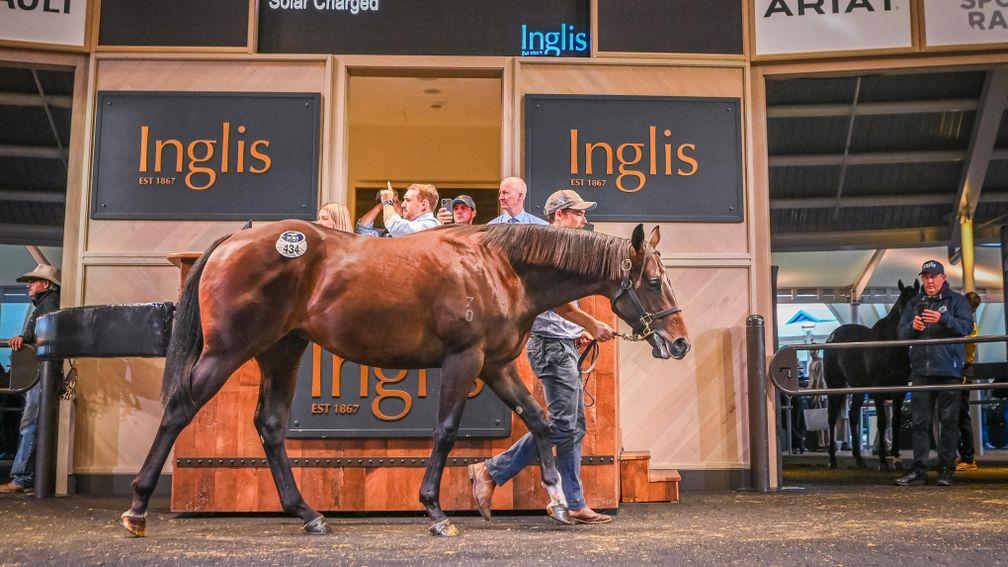 The brother to champion filly Sunlight sells for a decade-high A$3 million at the Inglis Australian Easter Yearling Sale