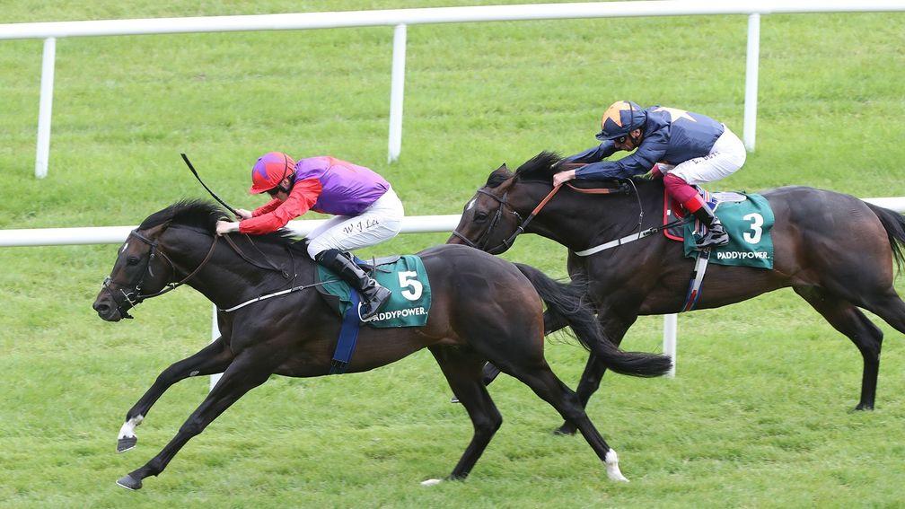Romanised (in front) defeats Hey Gaman in the Minstrel Stakes at the Curragh