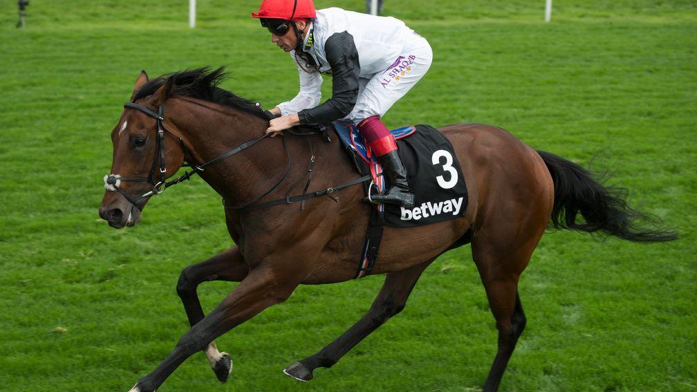 Cracksman: home alone in the Great Voltigeur
