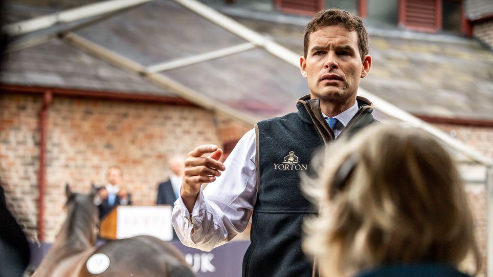 Tim Kent: Goffs UK managing director not ruling out any avenues