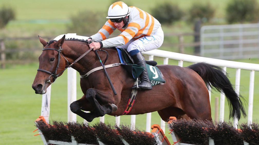 Robinnia: added a Tramore chase win to her previous victories at Punchestown and Sligo