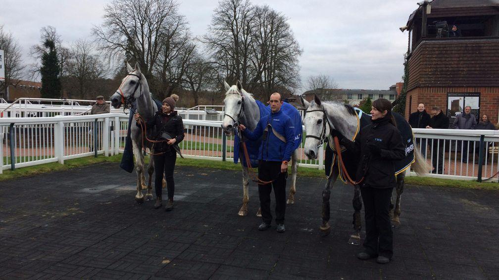 Grand Vision (centre), Cloudy Beach (right) and Wings Of Smoke pose patiently in the winner's enclosure after an all-grey finish to the veterans' chase