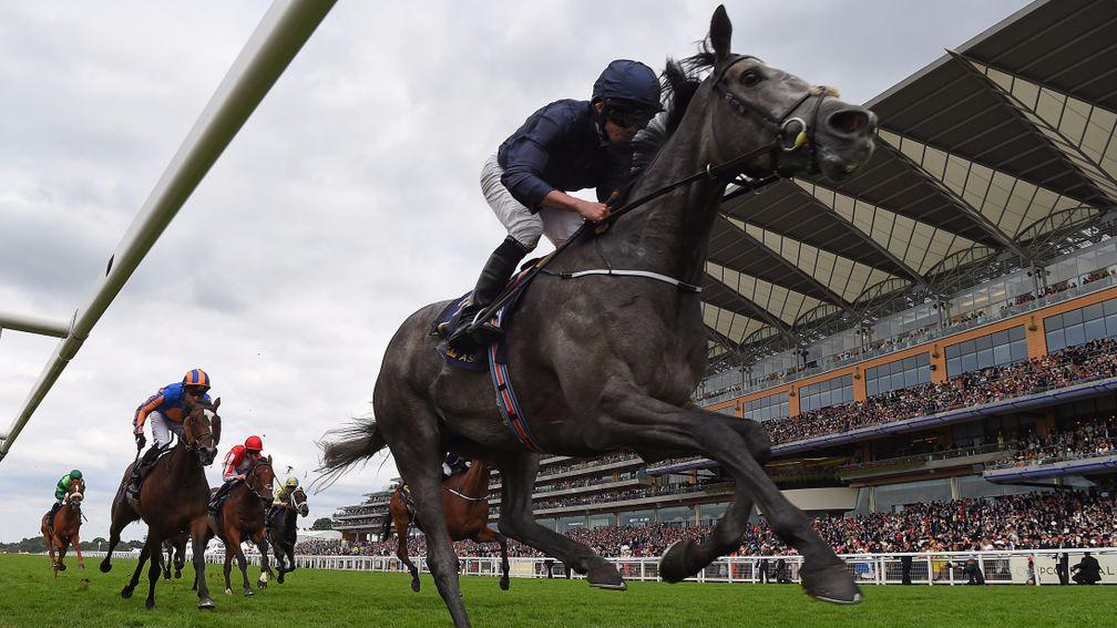 Winter looks set to be part of a four-pronged O'Brien attack on the Coolmore-sponsored Matron Stakes
