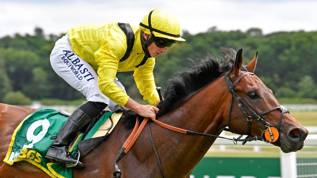 Nahaarr: looking to back up his Newbury win with success in the Stewards' Cup