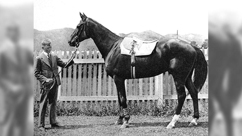 Phar Lap's career was not short on drama and intrigue