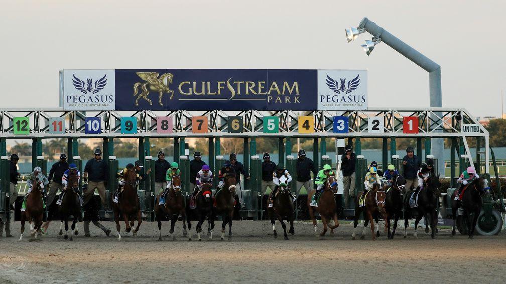Gulfstream gate: Arrogate broke from box one in the inaugural Pegasus World Cup 12 months ago and the draw could be crucial in the second running on Saturday
