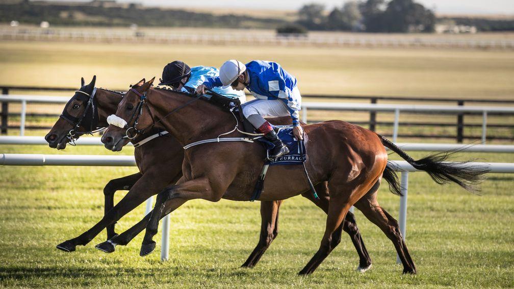 Sea The Lion (right): battling back to defeat old rival Gustavus Vassa in the Ragusa Handicap at the Curragh