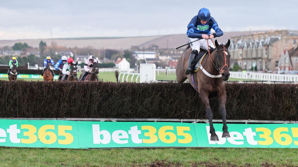 Anglers Crag: well fancied for the Eider Chase at Newcastle on Saturday