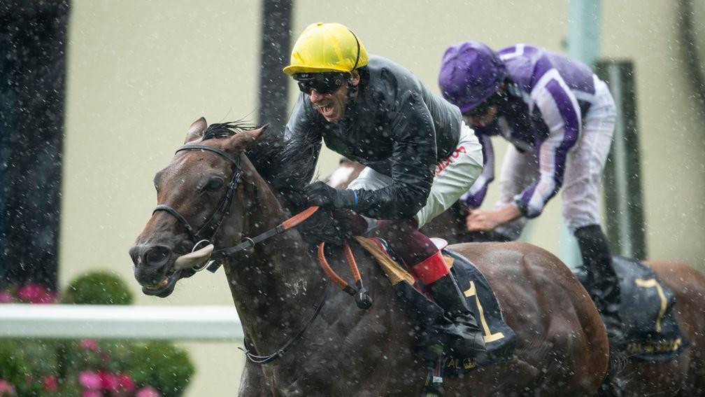 Crystal Ocean lands the Prince of Wales's Stakes in 2019