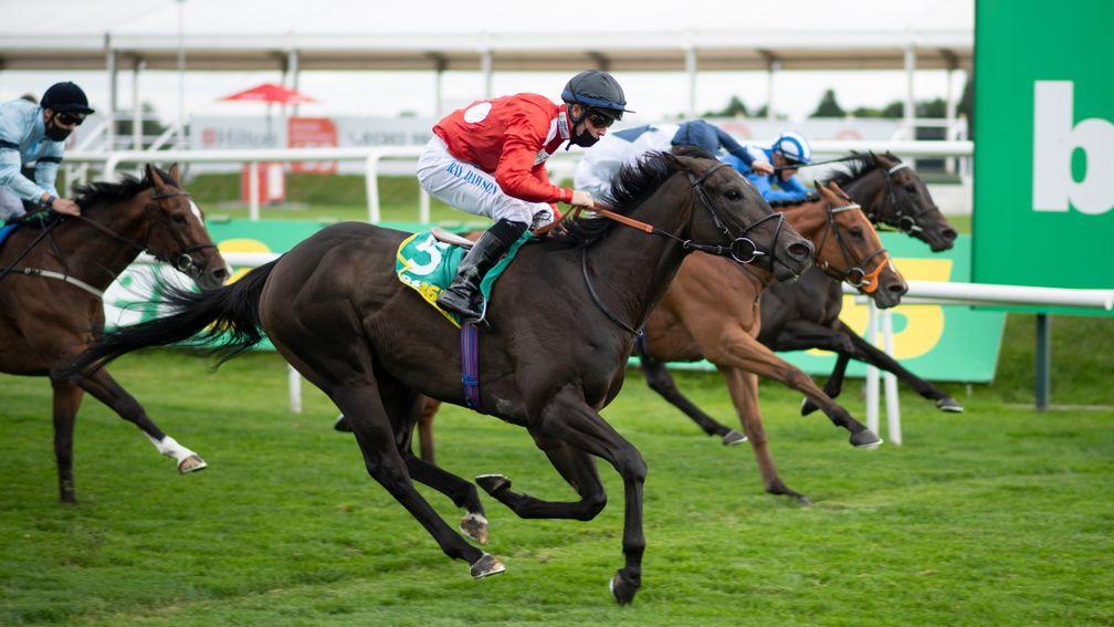 Tranchee (red): finished second at York on Saturday