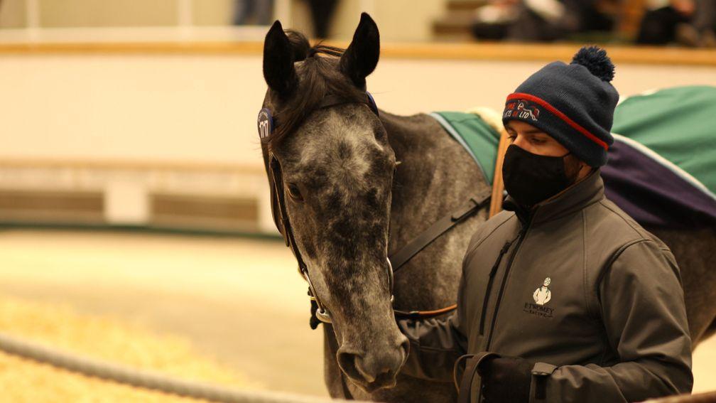Sonaiyla: was sold for 900,000gns to Moyglare Stud