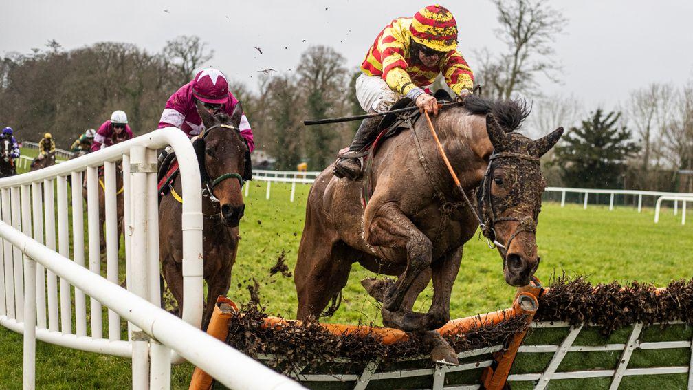 Sams Profile: stayed on best in testing conditions at Gowran Park and looks a big price