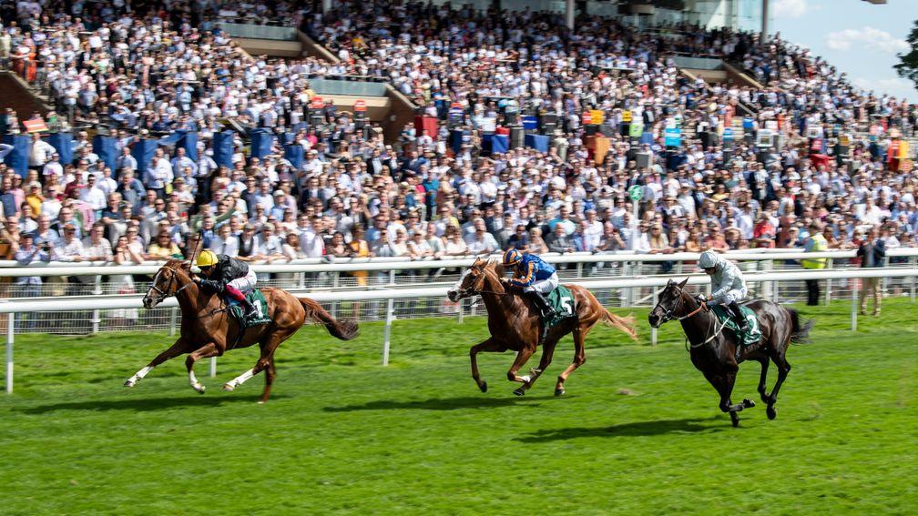 Il Paradiso (centre): tries to reel in Stradivarius in last Friday's Lonsdale Cup at York with Dee Ex Bee to his outside