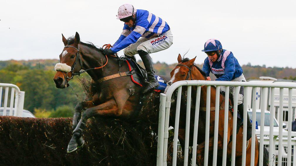 Diego Du Charmil jumps the last in a dramatic race at Ascot, but badly impedes Capeland
