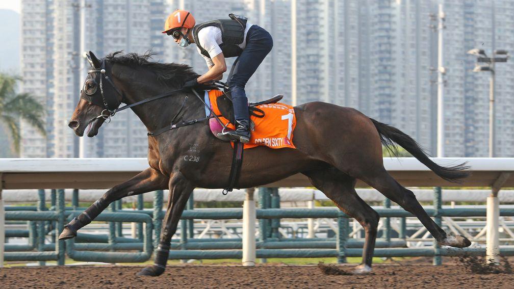 Vincent Ho puts Golden Sixty through his paces at Sha Tin on Friday in preparation for Sunday's FWD Champions Mile