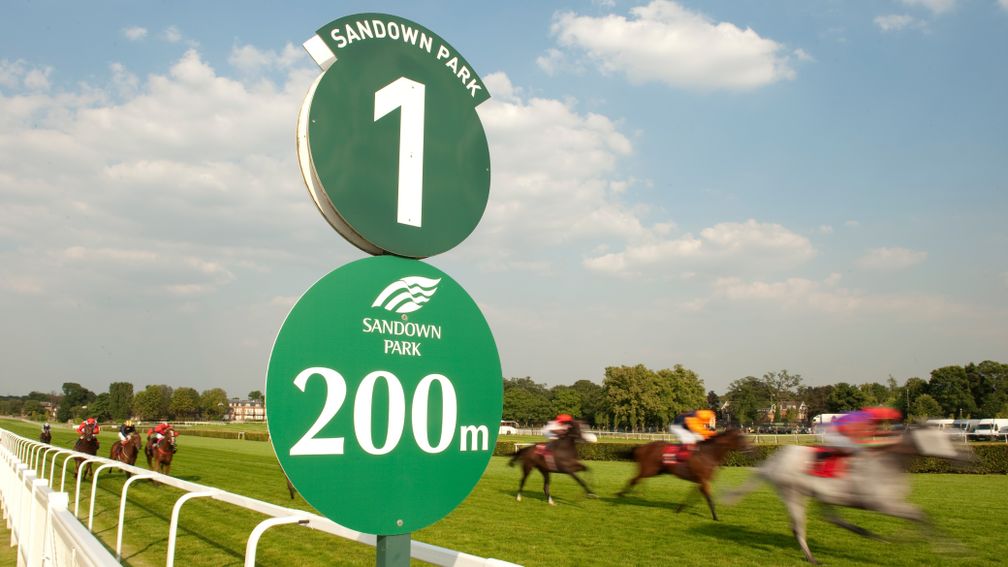 Sandown Park is the first UK racecourse to 'go metric', an initiative taken during the Olympic period. Pictured is Hurakan winning the 1m 2f Apprentice handicapSandown 25.7.12 Pic:Edward Whitaker