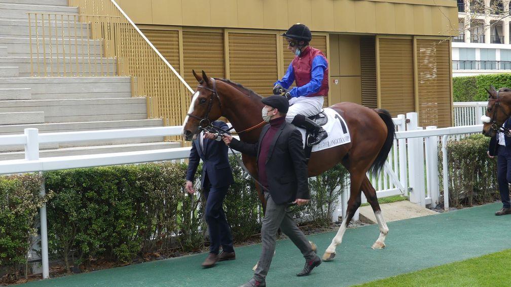 In Swoop and Ronan Thomas head out for the Prix Lord Seymour at Longchamp