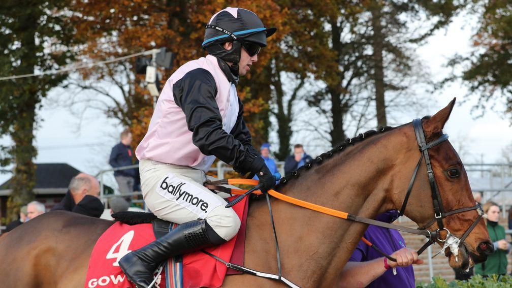 Bob Olinger was ridden by Darragh O'Keeffe for his chasing debut at Gowran, but Rachael Blackmore will be back on board at Punchestown
