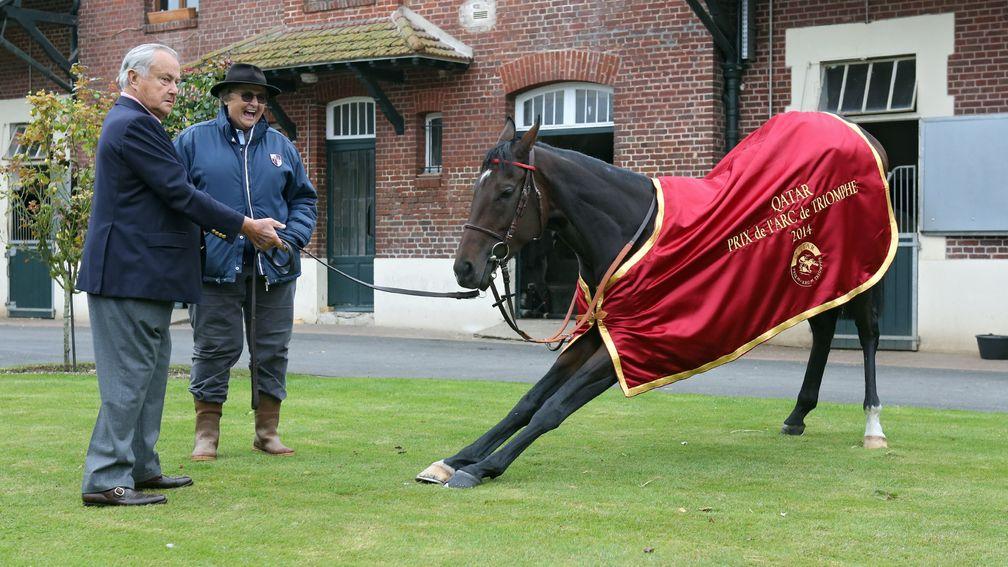 Treve stretches out the day after her second victory in the Prix de l'Arc de Triomphe